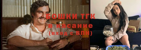 гашик Беломорск