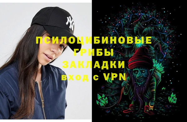 гашик Беломорск